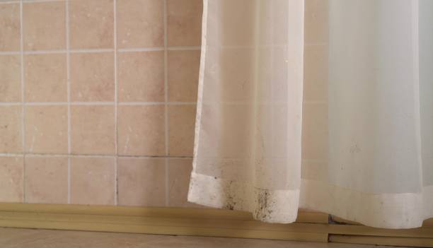 Best Comprehensive Air Testing for Mold Contaminants  in Cloquet, MN