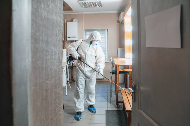  Cloquet, MN Mold Removal Pros