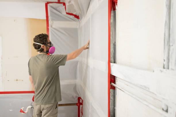 Best Post-Remediation Verification Testing  in Cloquet, MN