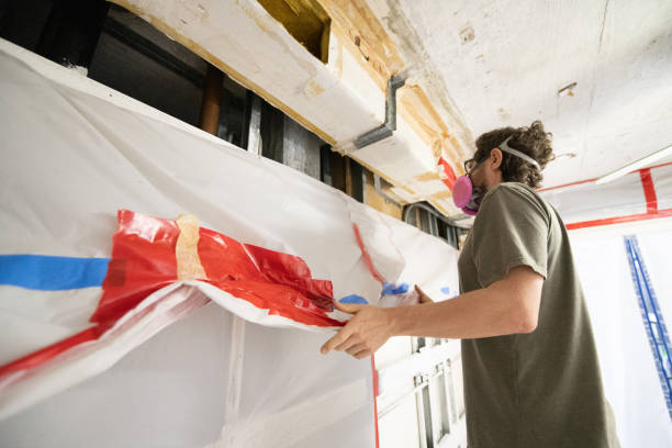 Best Mold Prevention Services  in Cloquet, MN