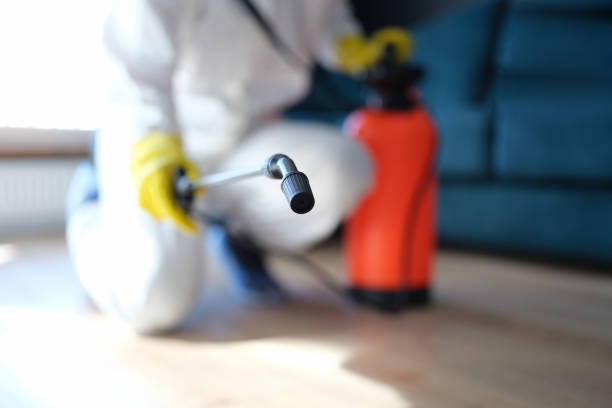 Best Comprehensive Air Testing for Mold Contaminants  in Cloquet, MN