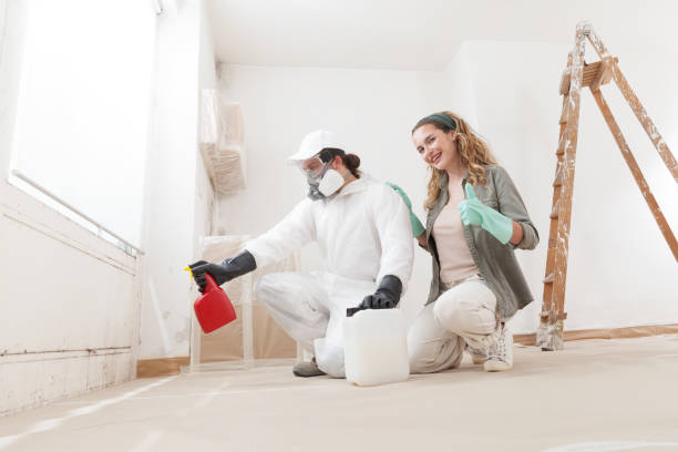 Best Water Damage & Mold Remediation  in Cloquet, MN