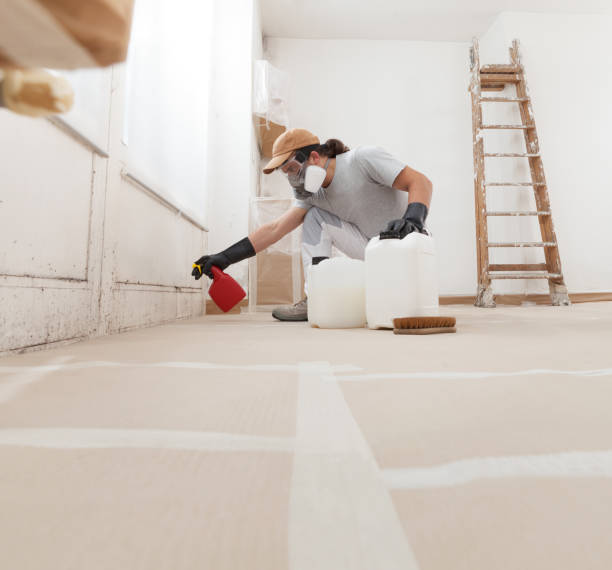 Mold Documentation for Insurance Claims in Cloquet, MN