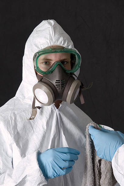Cloquet, MN Mold Removal Company